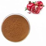 Organic Pomegranate Powder